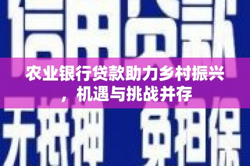 花地玛堂区农业银行贷款助力乡村振兴，机遇与挑战并存