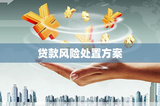马村贷款风险处置方案