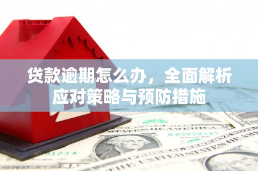 青山湖贷款逾期怎么办，全面解析应对策略与预防措施