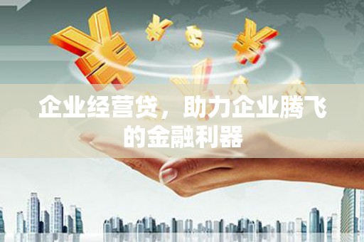 安顺企业经营贷，助力企业腾飞的金融利器