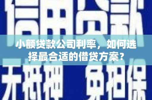 莱山小额贷款公司利率，如何选择最合适的借贷方案？