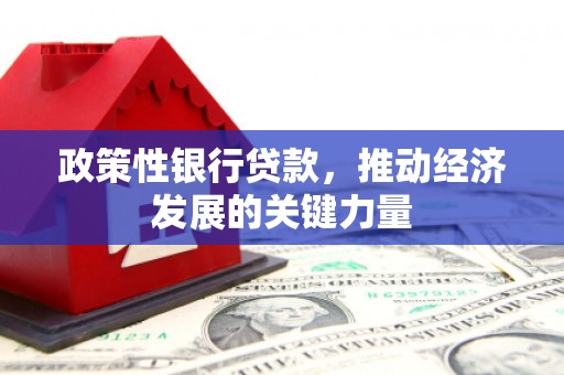辽源政策性银行贷款，推动经济发展的关键力量