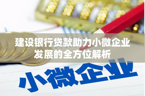 武穴建设银行贷款助力小微企业发展的全方位解析
