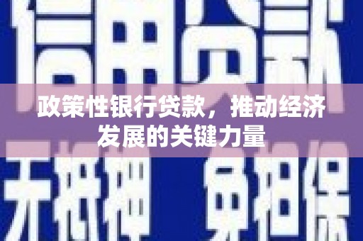 大武政策性银行贷款，推动经济发展的关键力量