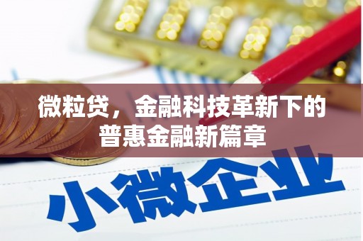 玛家微粒贷，金融科技革新下的普惠金融新篇章