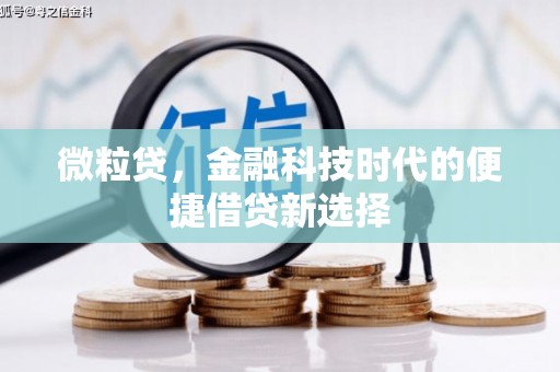 双溪微粒贷，金融科技时代的便捷借贷新选择