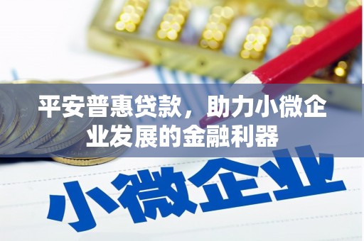 大武口平安普惠贷款，助力小微企业发展的金融利器