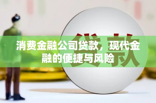 玛纳斯消费金融公司贷款，现代金融的便捷与风险