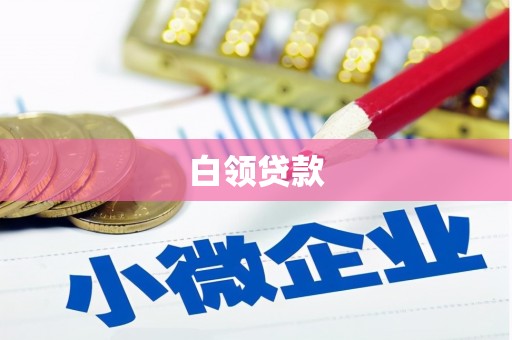 鹿城白领贷款