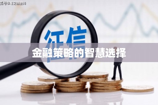 南山金融策略的智慧选择